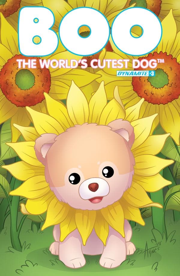 Boo, the World's Cutest Dog #3