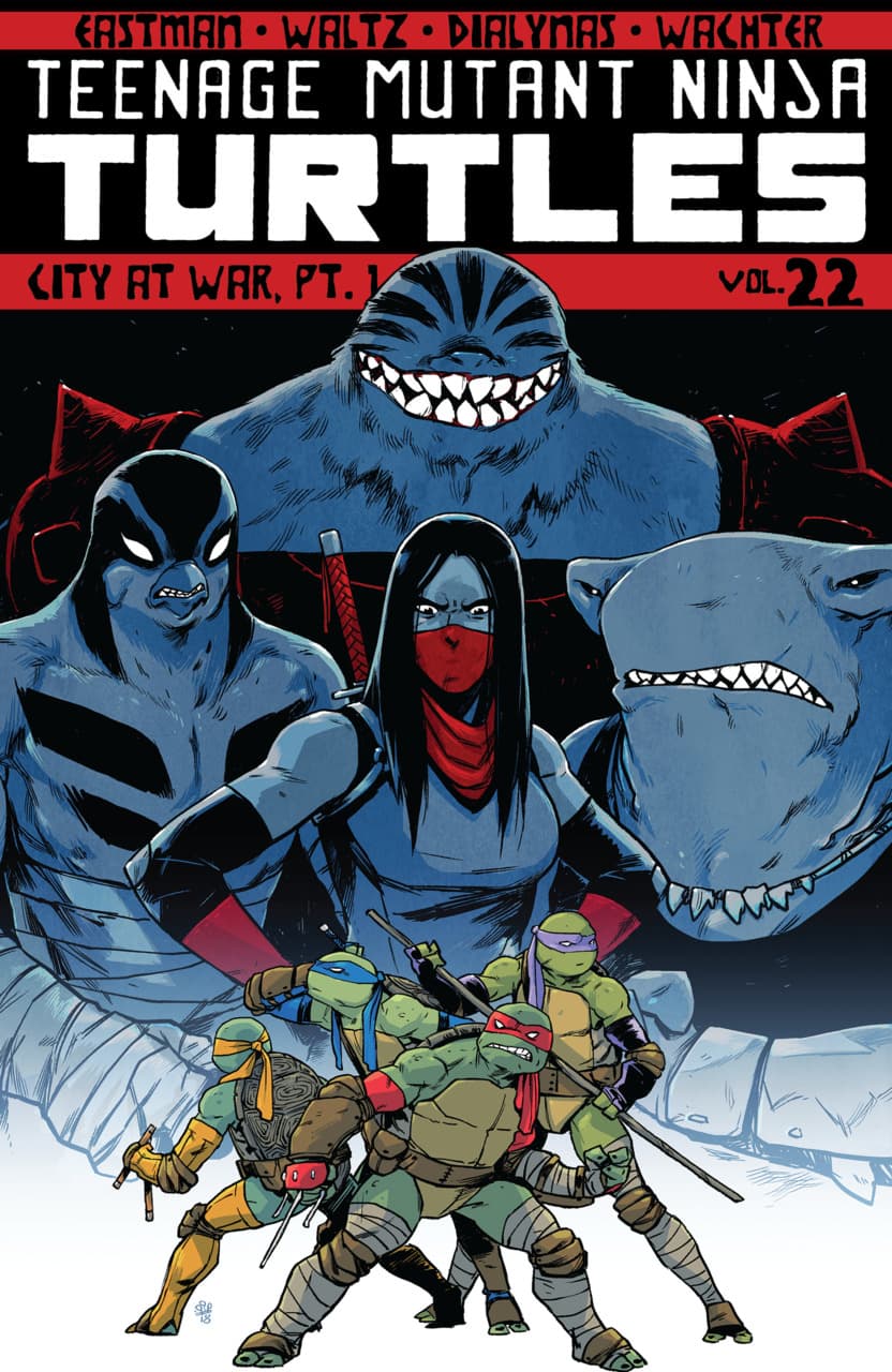 Teenage Mutant Ninja Turtles #22